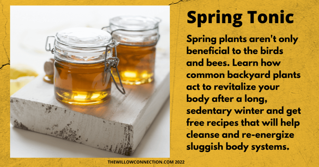 Spring Tonic