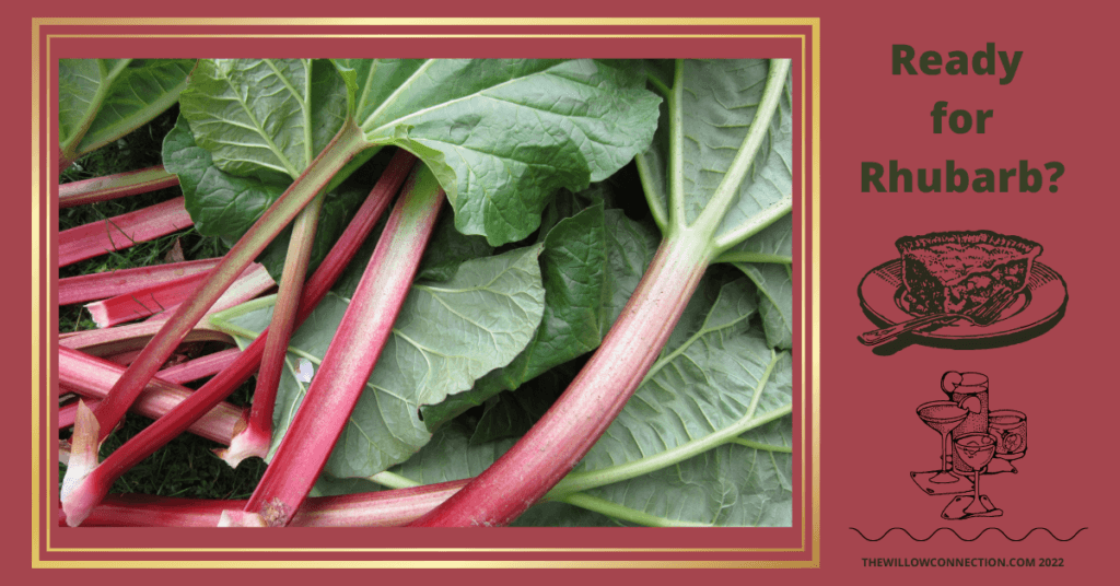 Ready for Rhubarb