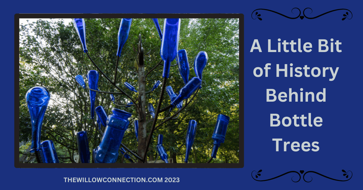 Bottle Trees