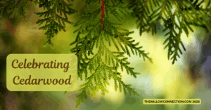 Celebrating Cedarwood