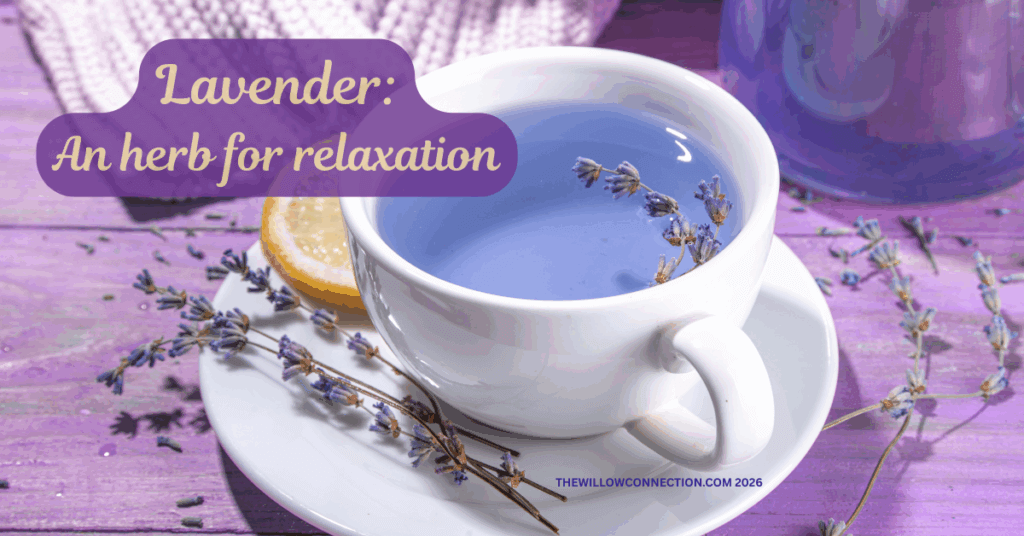 Herbal Lavender Uses