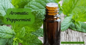 Peppermint Essential Oil