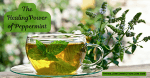 Peppermint Tea
