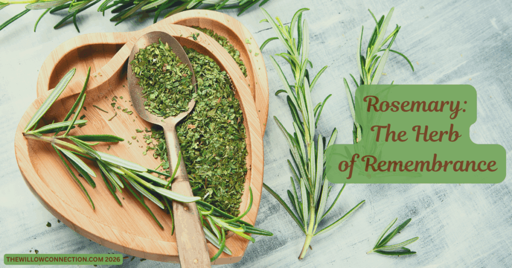 Benefits of rosemary