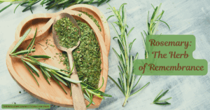 Benefits of rosemary