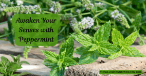 Powerful Peppermint